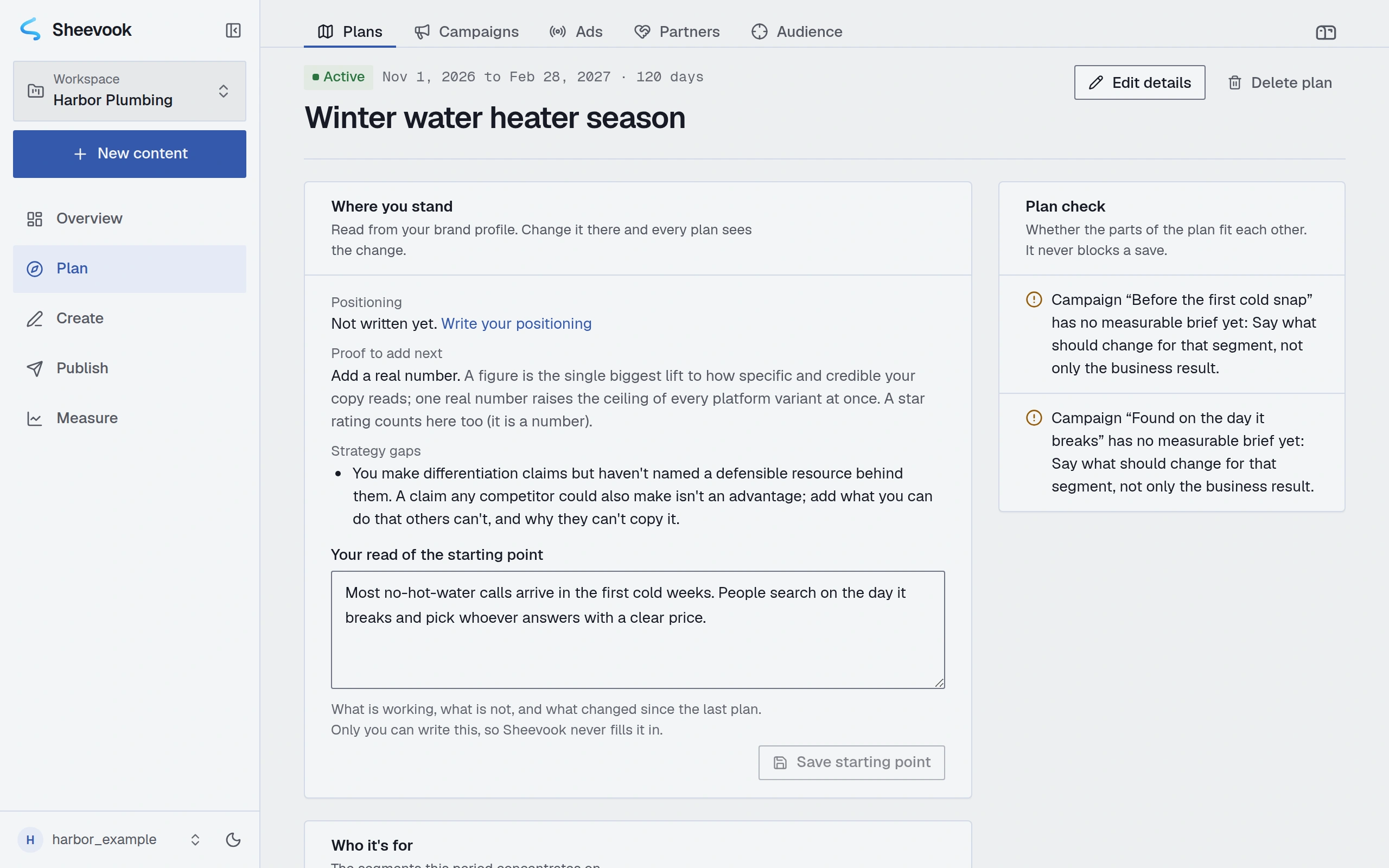 A winter plan for the example plumber: where the business stands, the next proof worth adding, a strategy gap, and a plan check noting two campaigns that still need a measurable brief.